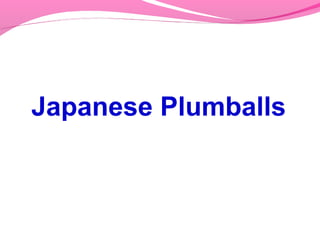 Japanese Plumballs
 