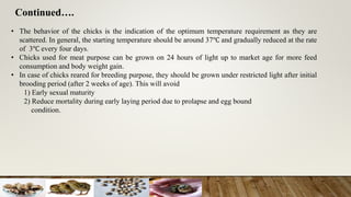• The behavior of the chicks is the indication of the optimum temperature requirement as they are
scattered. In general, the starting temperature should be around 37℃ and gradually reduced at the rate
of 3℃ every four days.
• Chicks used for meat purpose can be grown on 24 hours of light up to market age for more feed
consumption and body weight gain.
• In case of chicks reared for breeding purpose, they should be grown under restricted light after initial
brooding period (after 2 weeks of age). This will avoid
1) Early sexual maturity
2) Reduce mortality during early laying period due to prolapse and egg bound
condition.
Continued….
 