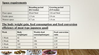 Space requirements
Brooding period
(0-2 weeks)
Growing period
(3-5 weeks)
Floor space 85cm2/bird 110 cm2/bird
Feeder space 1.5 cm 2.0 cm
Waterer space 0.7 cm 1.0 cm
The body weight gain, feed consumption and feed conversion
efficiency of meat type japanese quail
Week Body
weight(gm)
Weekly-feed
consumption(gm)
Feed conversion
ratio
1-Week 42 59 1.82
2-Week 90 106 2.05
3-Week 145 150 2.32
4-Week 210 176 2.45
 