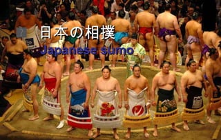 日本の相撲 Japanese sumo  