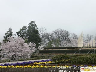 YAOTSU - Hill of Humanity לזכר חסיד אומות העולם סוגיהארה 