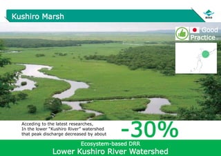 14
Kushiro Marsh
Ecosystem-based DRR
Lower Kushiro River Watershed
Acceding to the latest researches,
In the lower “Kushiro River” watershed
that peak discharge decreased by about -30%
Good
Practice
 