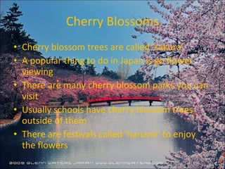 Cherry Blossoms Cherry blossom trees are called ‘sakura’ A popular thing to do in Japan is go flower viewing There are many cherry blossom parks you can visit Usually schools have cherry blossom trees outside of them There are festivals called ‘hanami’ to enjoy the flowers 