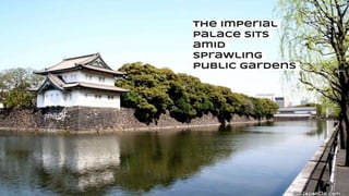 The Imperial
Palace sits
amid
sprawling
public gardens
 