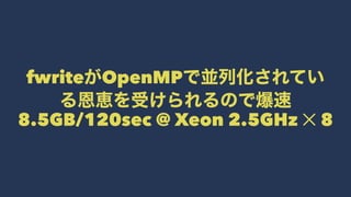 fwrite OpenMP
8.5GB/120sec @ Xeon 2.5GHz ✕ 8
 