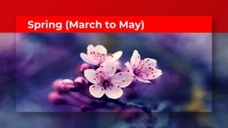 Spring (March to May)
 