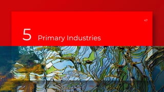 47
5 Primary Industries
 