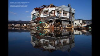 18 March 2011: Toyoki Sugawara looks out
from his destroyed liquor shop in
Kesennuma as he collects items he can
salvagePa...