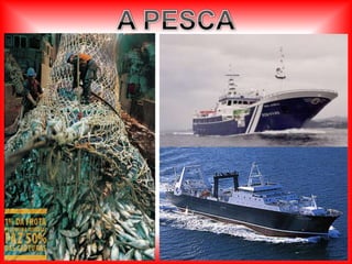 Pequenas áreas de planícies no litoral.