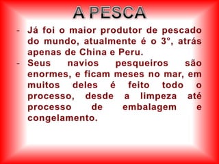 Subsolo pobre em recursos minerais.CARACTERÍSTICA FÍSICA