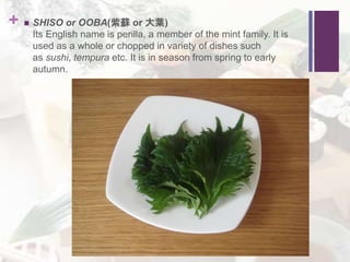 +  SHISO or OOBA(紫蘇 or 大葉)
Its English name is perilla, a member of the mint family. It is
used as a whole or chopped in variety of dishes such
as sushi, tempura etc. It is in season from spring to early
autumn.
 