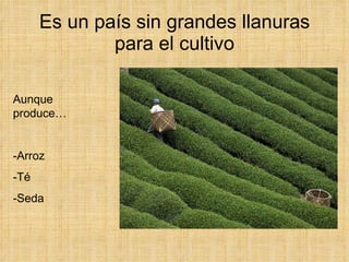 Es un país sin grandes llanuras para el cultivo Aunque produce… -Arroz -Té -Seda 