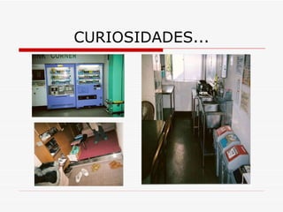 CURIOSIDADES... 