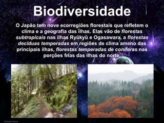 Biodiversidade
O Japão tem nove ecorregiões florestais que refletem o
clima e a geografia das ilhas. Elas vão de florestas
subtropicais nas ilhas Ryūkyū e Ogasawara, a florestas
decíduas temperadas em regiões de clima ameno das
principais ilhas, florestas temperadas de coníferas nas
porções frias das ilhas do norte.
 