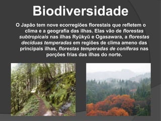 Biodiversidade
O Japão tem nove ecorregiões florestais que refletem o
clima e a geografia das ilhas. Elas vão de florestas
subtropicais nas ilhas Ryūkyū e Ogasawara, a florestas
decíduas temperadas em regiões de clima ameno das
principais ilhas, florestas temperadas de coníferas nas
porções frias das ilhas do norte.
 
