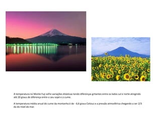 A temperatura no Monte Fuji sofre variações drásticas tendo diferenças gritantes entre os lados sul e norte atingindo
até 20 graus de diferença entre o seu sopé e o cume.
A temperatura média anual do cume da montanha é de - 6,6 graus Celsius e a pressão atmosférica chegando a ser 2/3
da do nível do mar.
 