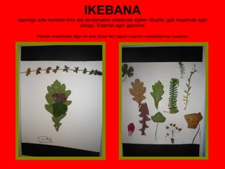 IKEBANA J apongo arte honetan lore eta landareekin artelanak egiten dituzte; guk koadroak egin ditugu. Ederrak egin gainera! Hemos practicado algo de arte floral del Japón cuando realizábamos cuadros. 