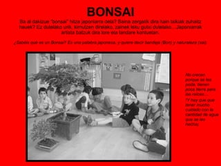 BONSAI Ba al dakizue “bonsai” hitza japoniarra dela? Baina zergatik dira hain txikiak zuhaitz hauek? Ez dutelako urik, kimutzen direlako, zainek leku gutxi dutelako…Japoniarrak artista batzuk dira lore eta landare kontuetan. ¿Sabéis qué es un Bonsai? Es una palabra japonesa, y quiere decir bandeja (Bon) y naturaleza (sai). No crecen porque se les poda, tienen poca tierra para las raíces… !Y hay que que tener mucho cuidado con la cantidad de agua que se les hecha¡ 