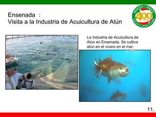 Ensenada ： Visita a la Industria de Acuicultura de Atún La Industria de Acuicultura de Atún en Ensenada. Se cultiva atún en el vivero en el mar. 11. 