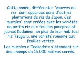 Cette année, différentes 'œuvres de
riz' sont apparues dans d'autres
plantations de riz du Japon. Ces
'murales' sont créées avec les variétés
de petits riz aux feuilles pourpres et
jaunes Kodaimai, en plus de leur habituel
riz Tsugaru, une variété romaine aux
feuilles vertes. 
Les murales d'Inakadate s'étendent sur
des champs de 15.000 mètres carrés.
 