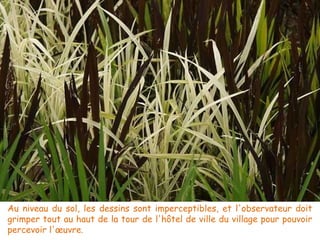 Au niveau du sol, les dessins sont imperceptibles, et l'observateur doit
grimper tout au haut de la tour de l'hôtel de ville du village pour pouvoir
percevoir l'œuvre. 
 