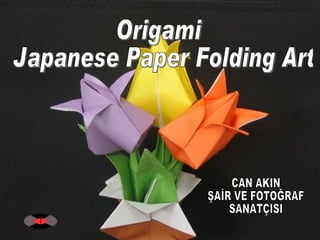 Origami Japanese Paper Folding Art CAN AKIN ŞAİR VE FOTOĞRAF SANATÇISI 