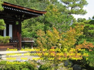 Jamás desesperes en medio de las mas  sombrías aflicciones de tu vida, pues de las nubes mas negras cae agua limpia y fecundante. 