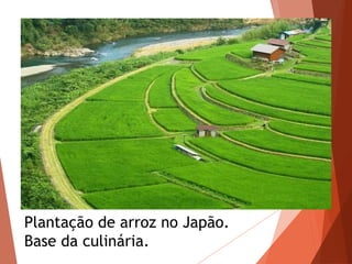 .Plantação de arroz no Japão.
Base da culinária.
 