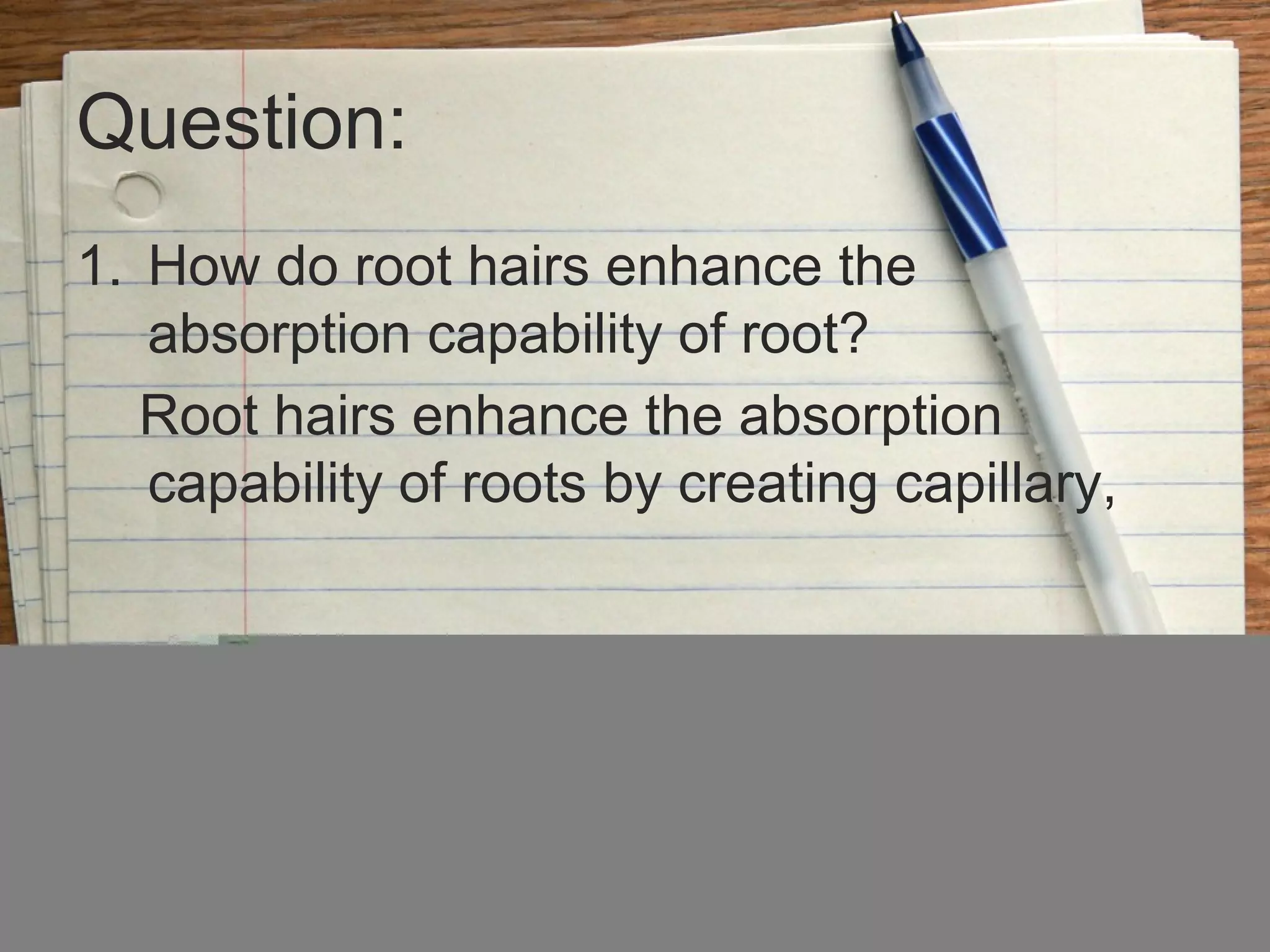 Question:
1. How do root hairs enhance the
absorption capability of root?
Root hairs enhance the absorption
capability of roots by creating capillary,
 