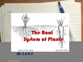 The Root
System of Plants
By: J.A.P.T.
Copyright 2008 PresentationFx.com | Redistribution Prohibited | Image © 2008 Thomas Brian | This text section may be deleted for presentation.
 