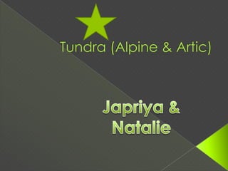 Tundra (Alpine & Artic) Japriya &  Natalie 