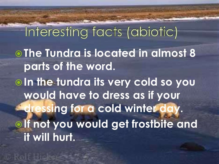 facts about the tundra