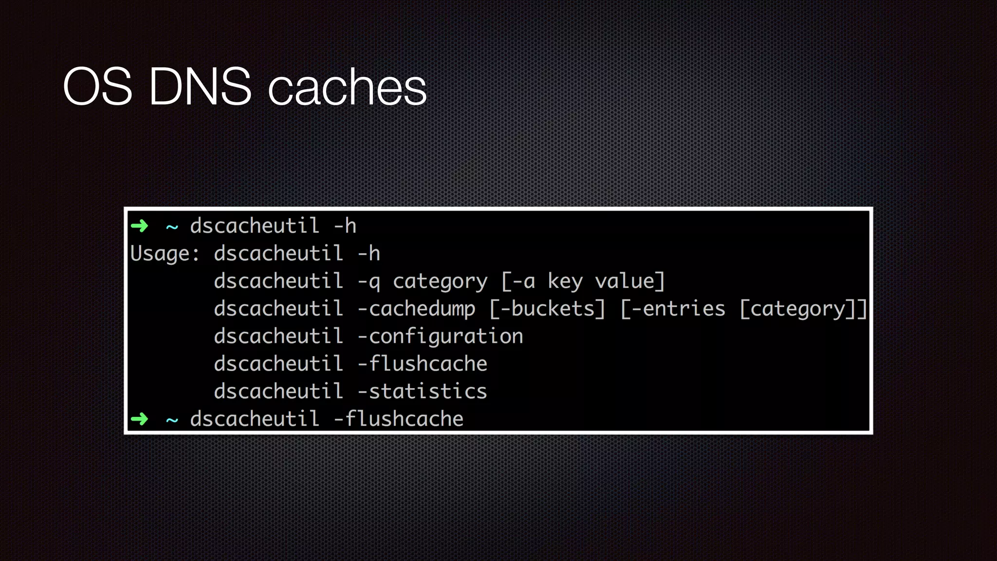 OS DNS caches
 