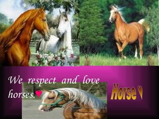 Horse ♥ We  respect  and  love horses. ♥ 