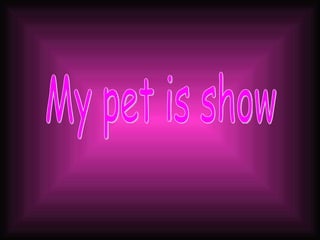 My pet is show 