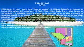 CALDO DE POLLO
PETEN
Comúnmente en varios países como "Rosa de Jamaica", el Hibiscus Sabdariffa se consume en
innumerables regiones del mundo como el Reino Unido, Egipto, Sudán, Iraq y varios lugares en
Latinoamérica. En Guatemala, México y algunos países centroamericanos, la Rosa de Jamaica es
sumamente popular por su delicioso sabor, su efecto refrescante y especialmente por su bajo costo.
Además se reconocen en el fresco de Rosa de Jamaica fuertes propiedades diuréticas.
La receta preparación del fresco de Rosa de Jamaica es sumamente sencilla. Simplemente debes sumergir
en agua los cálices de la Rosa de Jamaica y llevarla a ebullición. Cuando el agua haya hervido, presiona con
alguna paleta de madera los cálices de las flores para exprimir el jugo que hay en ellas.
Luego podrás colarlo para obtener únicamente el líquido de un color rojo obscuro, al que deberás agregarle
azúcar, revolverlo y enfriar para disfrutar de la refrescante bebida.
 