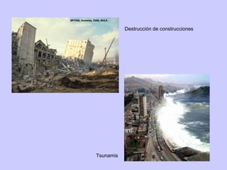 Destrucción de construcciones

Tsunamis

 