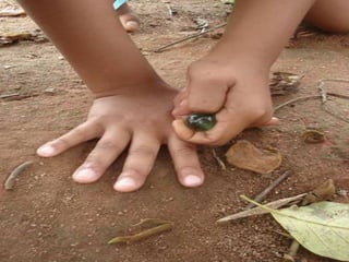 brinquedos ou brincadeiras