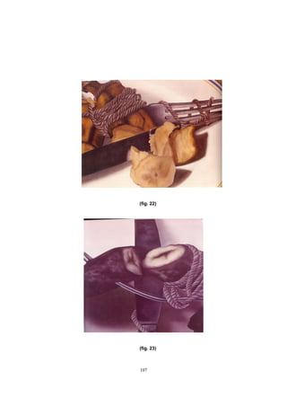 107
(fig. 22)
(fig. 23)
 