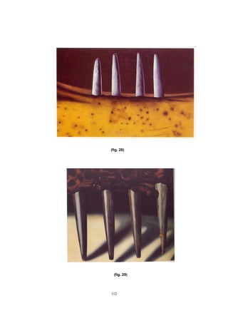 112
(fig. 28)
(fig. 29)
 