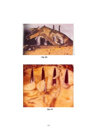 114
(fig. 30)
(fig. 31)
 