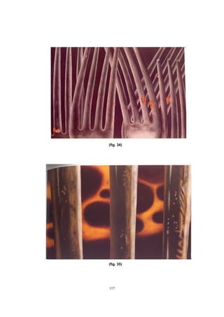 117
(fig. 34)
(fig. 35)
 