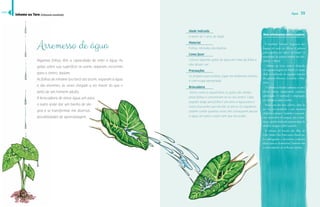 Água 59 
Mais informações sobre a espécie 
Arremesso de água 
Algumas folhas têm a capacidade de reter a água. As 
gotas sobre sua superfície se unem, separam, escorrem 
para o centro, bailam. 
As folhas de inhame (ou taro) são assim, seguram a água 
e são enormes, às vezes chegam a ser maior do que o 
peito de um homem adulto. 
A brincadeira de atirar água um para 
o outro pode dar um banho de ale-gria 
e se transformar em diversas 
possibilidades de aprendizagem. 
Idade indicada 
A partir de 7 anos de idade 
Material 
Folhas, retiradas das plantas 
Como fazer 
Colocar algumas gotas de água em cima da folha e 
não deixar cair. 
Precauções 
Se prepare para molhar, jogar em ambiente externo 
e com roupa apropriada. 
Brincadeira 
Assim como a capuchinha, as gotas são retidas 
pelas folhas e concentram-se no seu centro. Cada 
jogador pega uma folha e um atira a água para o 
outro, buscando que ela não se perca. Os jogadores 
podem contar quantas vezes eles conseguem passar 
a água um para o outro sem que ela acabe. 
O vocábulo “inhame” origina-se das 
—Óš‘¦Š£ œ œŽ£¤Ž Š !Š“ŒŠန  Š—Š¨¡Š 
œŽ£“‘š“ŊŒŠ¡œ¦ဣ£Š‹œ¡ဤœ¦ဣŒœ˜Ž¡ဤန 
sonoridade da palavra lembra um abo-canhar 
– nham! 
Inhame ou cará, como é chamado 
em algumas regiões do Brasil, é o nome 
dado ao tubérculo de algumas espécies 
dos gêneros Alocasia, Colocasia e Dios-corea. 
O inhame cultivado costuma ser uma 
planta rústica, dispensando cuidados 
£œŊ£¤“ŒŠœ£န  ¤¦‹Ä¡Œ¦—œ Ä Ž˜¡Ž‘Šœ 
em inhoques, sopas e tortas. 
Possui um alto teor calórico, além de 
ser rico em proteínas e sais minerais 
ှó£œ¡œŽœ¤±££“œဿနŠ˜‹Ä˜Ä¦˜œŽ- 
roso depurativo do sangue, rins e intes-tinos 
e ainda é indicado na prevenção da 
malária, dengue e febre amarela. 
O inhame foi trazido das ilhas de 
Cabo Verde e São Tomé para o Brasil pe-los 
portugueses e encontrou condições 
ideais para se desenvolver. Também tem 
o nome popular de orelha de elefante. 
Inhame ou Taro (Colocasia esculenta) 
índice 
 