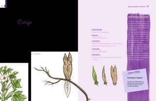 78 
Bonecos, Bichos e Monstros 79 
Mais informações sobre a espécie 
Coruja 
Andava colhendo uns quiabos já secos no meu quintal 
para retirar as sementes quando descobri que o quiabo 
seco aberto parece uma coruja. 
Apliquei vários bicos diferentes na minha coruja depois e 
me diverti bastante produzindo outras possibilidades de 
bonecos com esse fruto tão especial. 
O quiabo é uma planta não muito alta, com folhas em 
forma de mãos. Sua flor branca é muito delicada, com 
uma pintura bordô no interior. 
Idade indicada 
A partir de 1 ano de idade 
Material 
Vagem do quiabo, seca 
Como fazer 
Abra ao meio na longitudinal e coloque 2 olhos, 
que podem ser as próprias sementes. 
Precauções 
Não use quiabo mofado 
Brincadeira 
Mude os olhos da sua coruja, transforme-a em 
outro ser. 
O quiabo é uma planta da família da 
˜Š—¨ŠှŠ—¨ŠŒŽŠŽဿနŽ¦Š¦¤œÄ¦˜ŠŒ±- 
£¦—ŠŊ‹¡œ£ŠŒ’Ž“ŠŽ£Ž˜Žš¤Ž£‹¡ŠšŒŠ£ 
redondas, muito usado na culinária an-tes 
da maturação. 
De origem controversa, provavelmente 
ŠŠ“ŒŠšŠထšœ¡Š£“—Œœ˜õŽ¡Š¤œ£¤Ó“- 
cos regionais, como o caruru — quiabo 
Œœ¯“œŒœ˜ŒŠ˜Š¡³œ£ŽŒœျšŠŒ¦—“š±¡“Š 
˜“šŽ“¡Š’±œŠŠš‘œŒœ˜Ÿ¦“Š‹œŽœ¡Žœ- 
gado de carne com quiabo. 
Os quiabos são verdes e peludos e 
apresentam uma goma viscosa. Rico em 
vitamina A, são importantes para a vi-são, 
pele e mucosas em geral. 
Fruto de fácil digestão, é recomendado 
Š¡ŠŽ££œŠ£Ÿ¦Ž£œŠŽ˜Ž¡œ‹—Ž˜Š£ 
“‘Ž£¤“¨œ£ထ£ŽšœŽŊŒŠ¯Œœš¤¡Š“šŽŒÀõŽ£ 
dos intestinos, bexiga e rins. 
Personagens magrelos 
O quiabo seco também pode virar 
diferentes outros personagens que, 
com diferentes adereços, viram 
uma família quiabólica. 
Quiabo (Abelmoschus esculentus) 
índice 
 