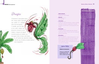 82 
Elefante da bananeira 
A folha seca e o pendão podem 
ser utilizados para criar um 
elefante. A folha serve como 
orelha e o pendão como tromba. 
Bonecos, Bichos e Monstros 83 
Mais informações sobre a espécie 
Dragão 
A bananeira é uma planta lúdica, 
tem muitas partes divertidas 
que podem ser utilizadas 
para criar brincadeiras. 
O pendão que fica abai-xo 
do cacho sempre me 
provocou a brincar, eu tive 
sempre o impulso de segurar 
na ponta oposta ao coração e gi-rar 
aquilo como se fosse uma funda 
ou um martelo (do atletismo). Depois 
descobri que ali dentro residiam diversos 
seres imaginários. 
Idade indicada 
A partir de 1 ano de idade 
Material 
Flor e pendão 
Como fazer 
Quando um cacho de bananas é colhido o pendão 
com a flor costuma ser jogado fora. Essa parte 
da planta vira um boneco incrível que parece um 
dragão. 
Precauções 
A banana solta um líquido que pode manchar 
roupas para sempre. Procure usar uma roupa que 
possa ser manchada. 
Brincadeira 
Abra um pedaço do coração da bananeira, e veja 
que as bananas pequeninas são uma cabeleira. 
Instale olhos de sementes e seu bicho vai ficar 
muito engraçado. Depois você pode brincar que ele 
voa e faz sons divertidos. 
O cultivo de bananas pelo ser humano 
teve início no sudeste da Ásia. Existem 
ainda muitas espécies de banana selva-gem 
na Nova Guiné, na Malásia, Indo-nésia 
e Filipinas. 
Ainda que as espécies selvagens apre-sentem 
numerosas sementes, grandes e 
duras, quase todas as variedades de ba-nana 
utilizadas na alimentação huma-na 
não têm sementes. 
Da parte inferior do cacho da banana 
ainda imaturo (ou verde, como se costu- 
˜Š“¯Ž¡ဿထ£Š“¦˜Žš³œŽထŽ˜£Ž¦Ž¬- 
tremo, destaca-se um cone de coloração 
ŽŒœš£“£¤ÅšŒ“Š“Ž¡ŽšŒ“ŠŠ£ထŸ¦ŽÄŠŚœ¡ 
Š‹ŠšŠšŽ“¡Šနœ¦—Š¡˜Žš¤ŽထŠŚœ¡Š 
bananeira é chamada de umbigo [do ca-cho] 
da banana, coração da bananeira, 
mangará ou apenas umbigo da banana, 
que, cozido e preparado com outros in-gredientes, 
é comestível de requintado 
sabor e alto valor nutricional. 
Apesar de parecer não 
utilizável, a casca da banana 
contém vários nutrientes, açú-cares 
naturais como a glicose 
e sacarose e minerais. Com 
isso, pode ser aproveitada 
no consumo alimentício. São diversos as 
maneiras para aproveitá-la, como o bri-gadeiro 
de casca de banana, o bolo de 
casca de banana, a farinha, entre outros. 
Banana (Musa sapientum) 
índice 
 