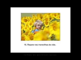 16. Repare nas maravilhas da vida.  