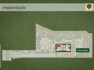 Material preliminar sujeito a alterações




                                           Implantação




                           Musculação
 