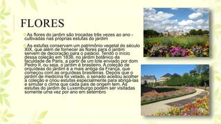 FLORES
As flores do jardim são trocadas três vezes ao ano -
cultivadas nas próprias estufas do jardim
As estufas conservam um patrimônio vegetal do século
XIX, que além de fornecer as flores para o jardim
servem de decoração para o palácio. Tendo o início
dessa coleção em 1838, no jardim botânico da
faculdade de Paris, a partir de um lote enviado por dom
Pedro II, ou seja, o jardim é brasileiro. A coleção de
orquídeas do jardim é a mais antiga da França, que
começou com as orquídeas brasileiras. Depois que o
jardim de medicina foi vetado, o senado aceitou acolher
a coleção e criou estufas especialmente para abrigá-las
e simular o clima que cada pais de origem tem. As
estufas do jardim de Luxemburgo podem ser visitadas
somente uma vez por ano em setembro
 