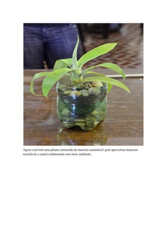 Agora você terá uma planta construída de maneira sustentável ,pois aproveitou materiais
recicláveis e estará colaborando com meio ambiente.

 