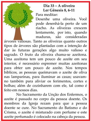 Dia 33 – A oliveira
Ler Gênesis 8, 6-11
Para meditar:
Desenhe uma oliveira. Você
pode desenhá-la perto de um
riacho. As oliveiras crescem
lentamente, por isto, quando
maduras, são consideradas
árvores valiosas. Tanto as oliveiras quanto outros
tipos de árvores são plantadas com a intenção de
dar às futuras gerações algo muito valioso e
sagrado. O fruto da oliveira chama-se azeitona.
Uma azeitona tem um pouco de azeite em seu
interior, é necessário espremer muitas azeitonas
para obter um pouco de azeite. Nos tempos
bíblicos, as pessoas queimavam o azeite de oliva
nas lamparinas, para iluminar as casas; usavam-
no também para aliviar os ferimentos, cortes e
bolhas; além de cozinharem com ele, tal como é
feito em nossos dias.
No Sacramento da Unção dos Enfermos, o
azeite é passado no corpo da pessoa doente. Os
membros da Igreja rezam para que a pessoa
doente se cure. No Sacramento do Batismo e do
Crisma, o azeite é misturado com perfume e este
azeite perfumado é colocado na cabeça da pessoa.
 